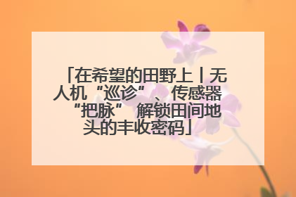 在希望的田野上丨无人机“巡诊”、传感器“把脉” 解锁田间地头的丰收密码
