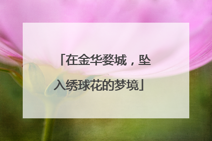 在金华婺城，坠入绣球花的梦境
