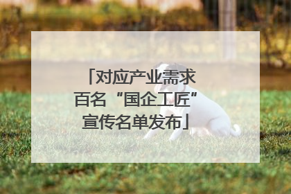 对应产业需求 百名“国企工匠”宣传名单发布