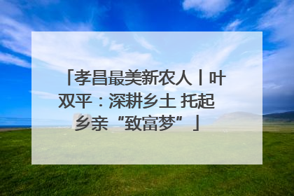 孝昌最美新农人丨叶双平：深耕乡土 托起乡亲“致富梦”