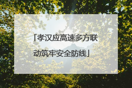 孝汉应高速多方联动筑牢安全防线