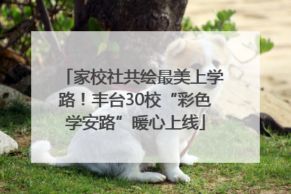 家校社共绘最美上学路！丰台30校“彩色学安路”暖心上线