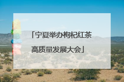 宁夏举办枸杞红茶高质量发展大会