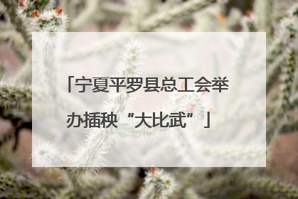 宁夏平罗县总工会举办插秧“大比武”
