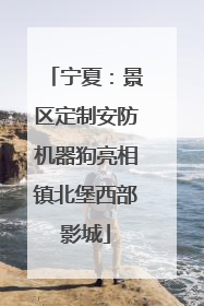 宁夏：景区定制安防机器狗亮相镇北堡西部影城