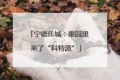 宁德蕉城：果园里来了“科特派”