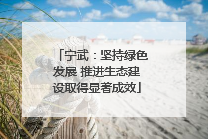 宁武：坚持绿色发展 推进生态建设取得显著成效