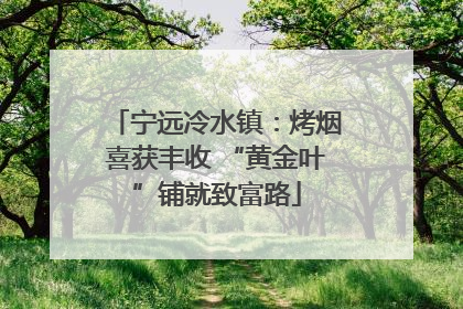 宁远冷水镇：烤烟喜获丰收 “黄金叶”铺就致富路