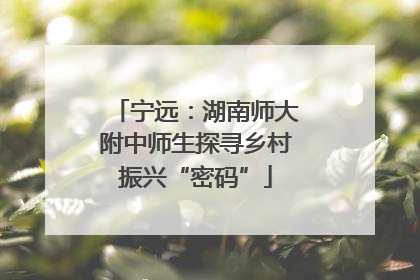 宁远：湖南师大附中师生探寻乡村振兴“密码”
