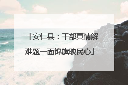 安仁县：干部真情解难题一面锦旗映民心