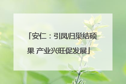 安仁：引凤归巢结硕果 产业兴旺促发展