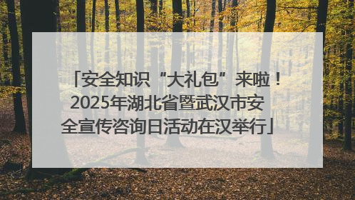 安全知识“大礼包”来啦！2025年湖北省暨武汉市安全宣传咨询日活动在汉举行