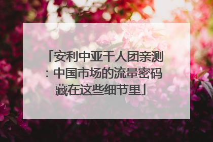 安利中亚千人团亲测：中国市场的流量密码 藏在这些细节里