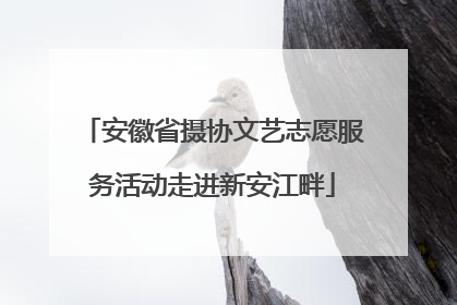 安徽省摄协文艺志愿服务活动走进新安江畔