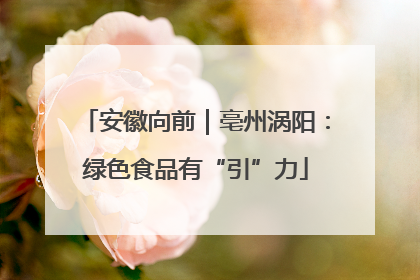 安徽向前｜亳州涡阳：绿色食品有“引”力