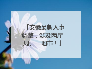安徽最新人事调整，涉及两厅局、一地市！