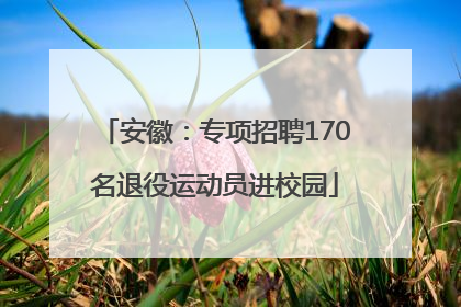 安徽：专项招聘170名退役运动员进校园