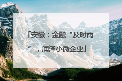 安徽：金融“及时雨”，润泽小微企业