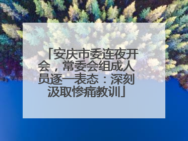 安庆市委连夜开会，常委会组成人员逐一表态：深刻汲取惨痛教训