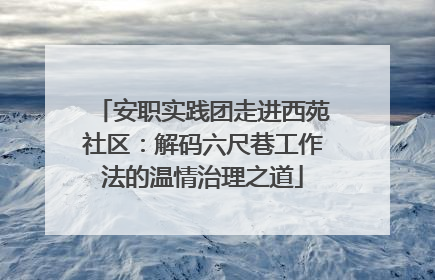 安职实践团走进西苑社区：解码六尺巷工作法的温情治理之道