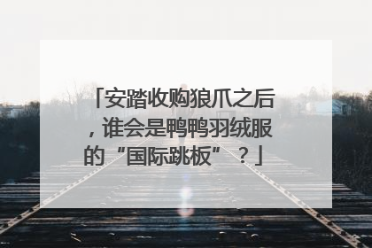 安踏收购狼爪之后，谁会是鸭鸭羽绒服的“国际跳板”？