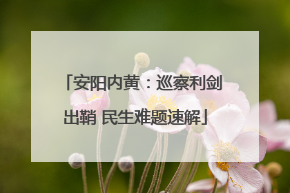 安阳内黄：巡察利剑出鞘 民生难题速解