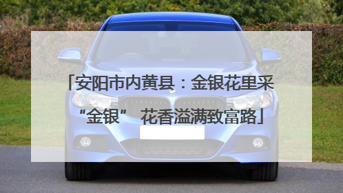 安阳市内黄县：金银花里采“金银” 花香溢满致富路