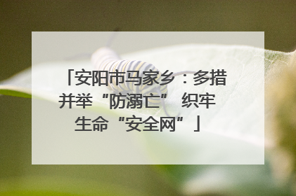 安阳市马家乡：多措并举“防溺亡” 织牢生命“安全网”
