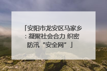 安阳市龙安区马家乡：凝聚社会合力 织密防汛“安全网”