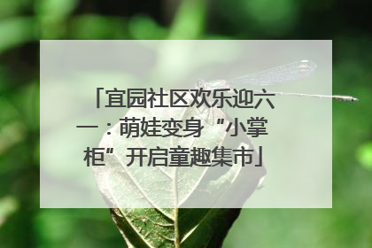 宜园社区欢乐迎六一：萌娃变身“小掌柜”开启童趣集市