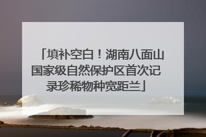 填补空白！湖南八面山国家级自然保护区首次记录珍稀物种宽距兰