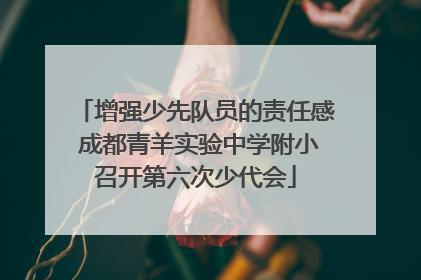 增强少先队员的责任感 成都青羊实验中学附小召开第六次少代会