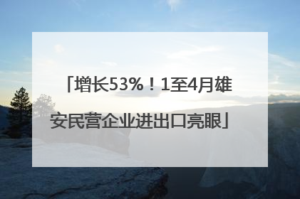 增长53%！1至4月雄安民营企业进出口亮眼