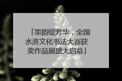 墨韵绽芳华，全国水浒文化书法大赛获奖作品展盛大启幕