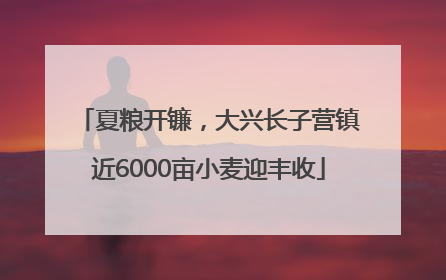 夏粮开镰，大兴长子营镇近6000亩小麦迎丰收