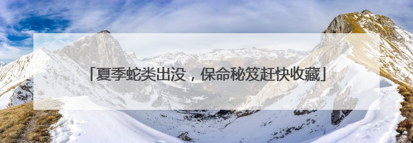 夏季蛇类出没，保命秘笈赶快收藏