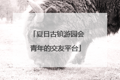 夏日古镇游园会 青年的交友平台
