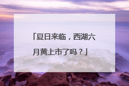 夏日来临，西湖六月黄上市了吗？