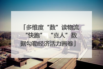 多维度“数”读物流“快跑” “喜人”数据勾勒经济活力画卷