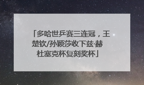 多哈世乒赛三连冠，王楚钦/孙颖莎收下兹·赫杜塞克杯复刻奖杯