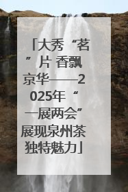 大秀“茗”片 香飘京华——2025年“一展两会”展现泉州茶独特魅力