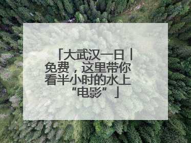大武汉一日︱免费，这里带你看半小时的水上“电影”