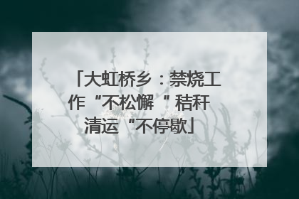 大虹桥乡：禁烧工作“不松懈“ 秸秆清运“不停歇