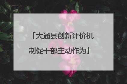 大通县创新评价机制促干部主动作为