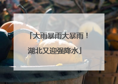大雨暴雨大暴雨！湖北又迎强降水