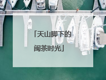 天山脚下的闽茶时光
