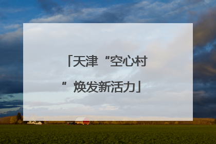 天津“空心村”焕发新活力