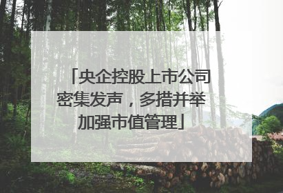 央企控股上市公司密集发声，多措并举加强市值管理