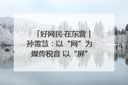 好网民·在东营｜孙雪慧：以“网”为媒传税音 以“屏”为介助发展
