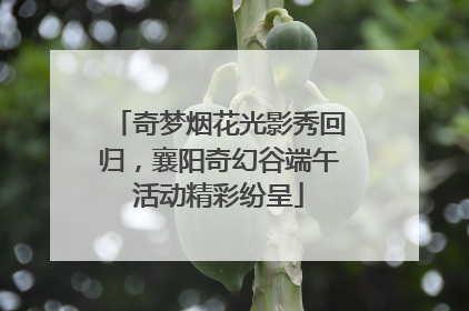 奇梦烟花光影秀回归，襄阳奇幻谷端午活动精彩纷呈